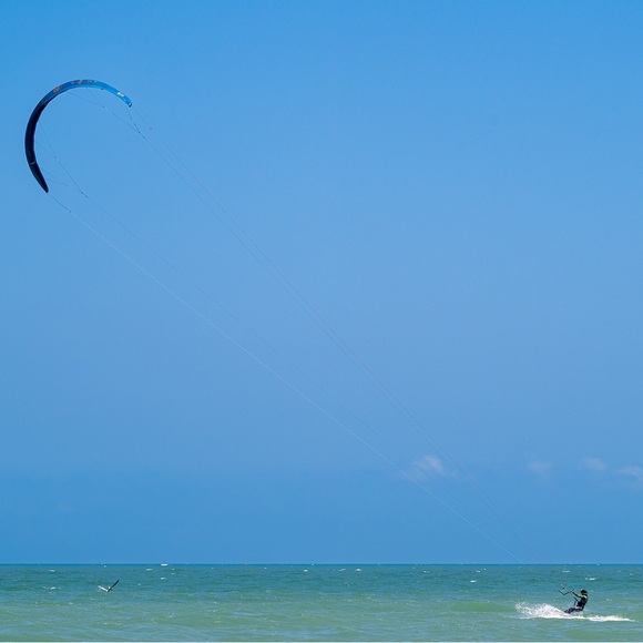 Meet your Posher, Myrriah - Picture 1 of 2